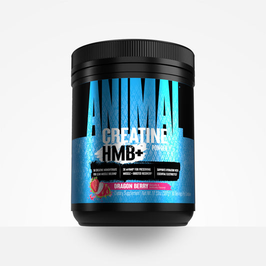Animal Creatine +HMB 327g Dragon Berry packshot
