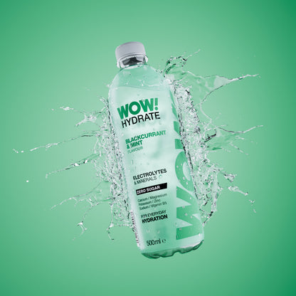 WOW! Hydrate 12x500ml Blackcurrant & Mint packshot
